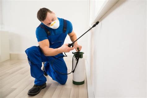 Pest removal pittsburgh. Things To Know About Pest removal pittsburgh. 